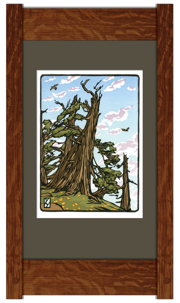 Bristlecone_Pine_Framed_grande