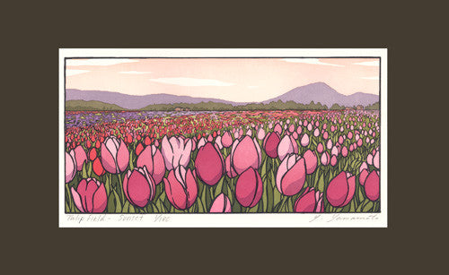 Tulip Field - Sunset