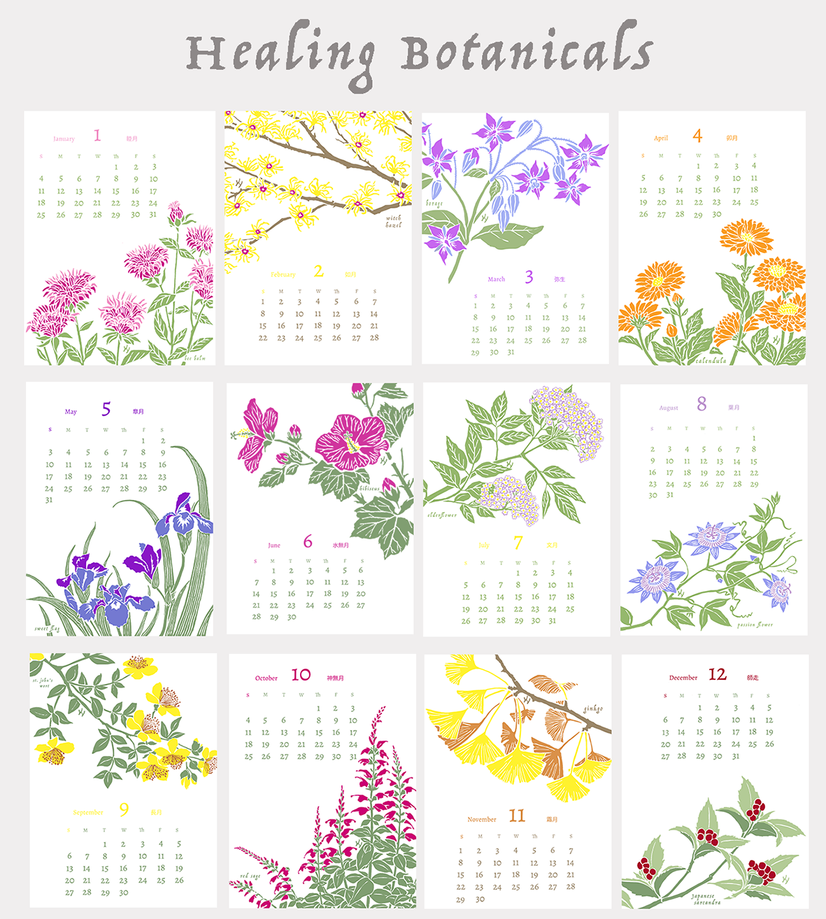 "Healing Botanicals" Calendar for 2026 (with Stand)
