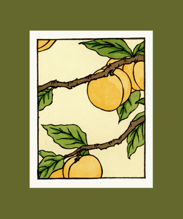 Apricot