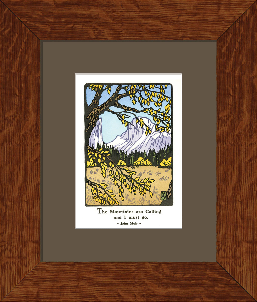 Black Oak