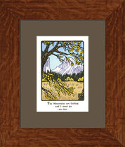 Black Oak
