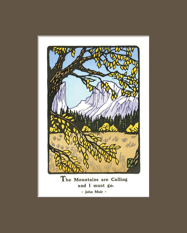 Black Oak