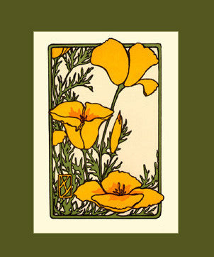 California_Poppy_Matted.jpg
