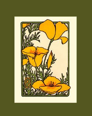 California Poppy