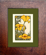 California Poppy