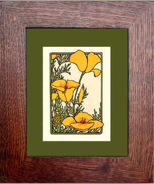 California Poppy