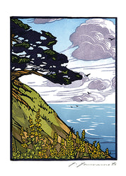 Cypress at Point Reyes