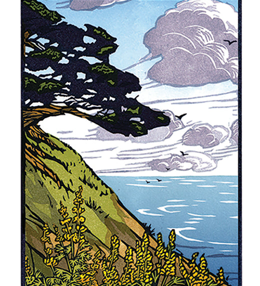 Cypress_at_Point_Reyes.jpg