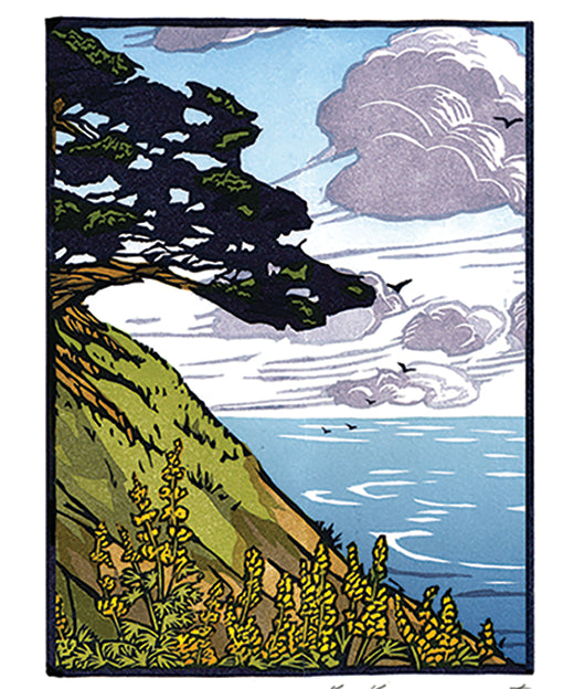 Cypress_at_Point_Reyes.jpg