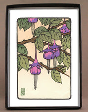 The Fuchsia
