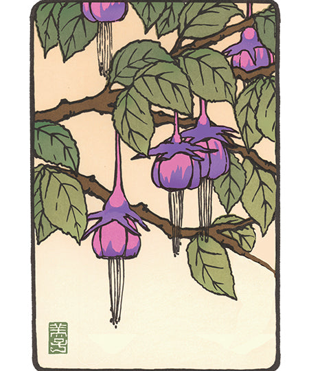 Fuchsia_new.jpg