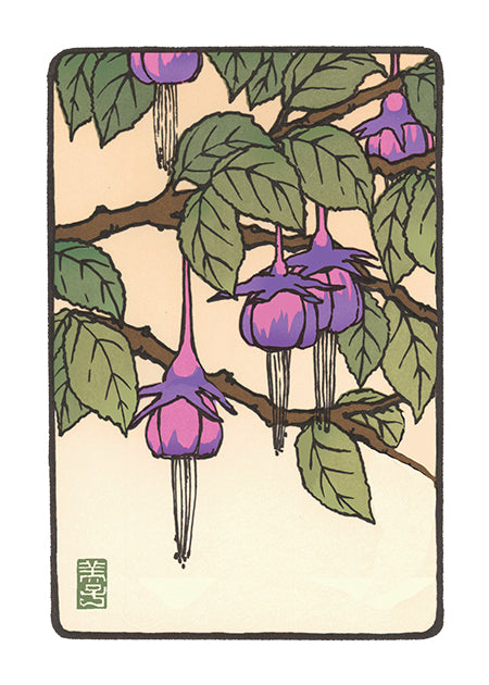 The Fuchsia