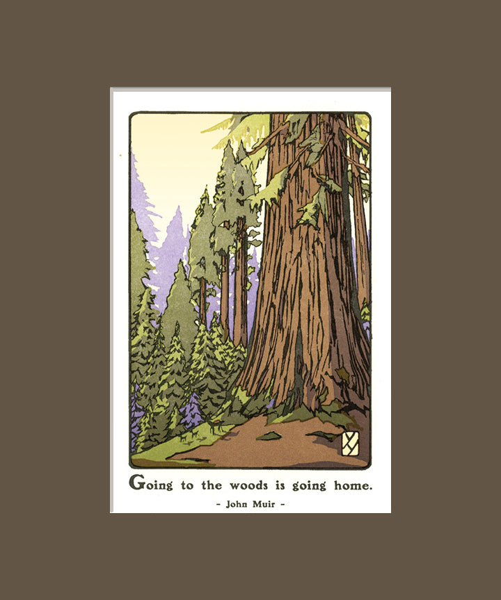 GiantSequoiaMatted_Loam.jpg