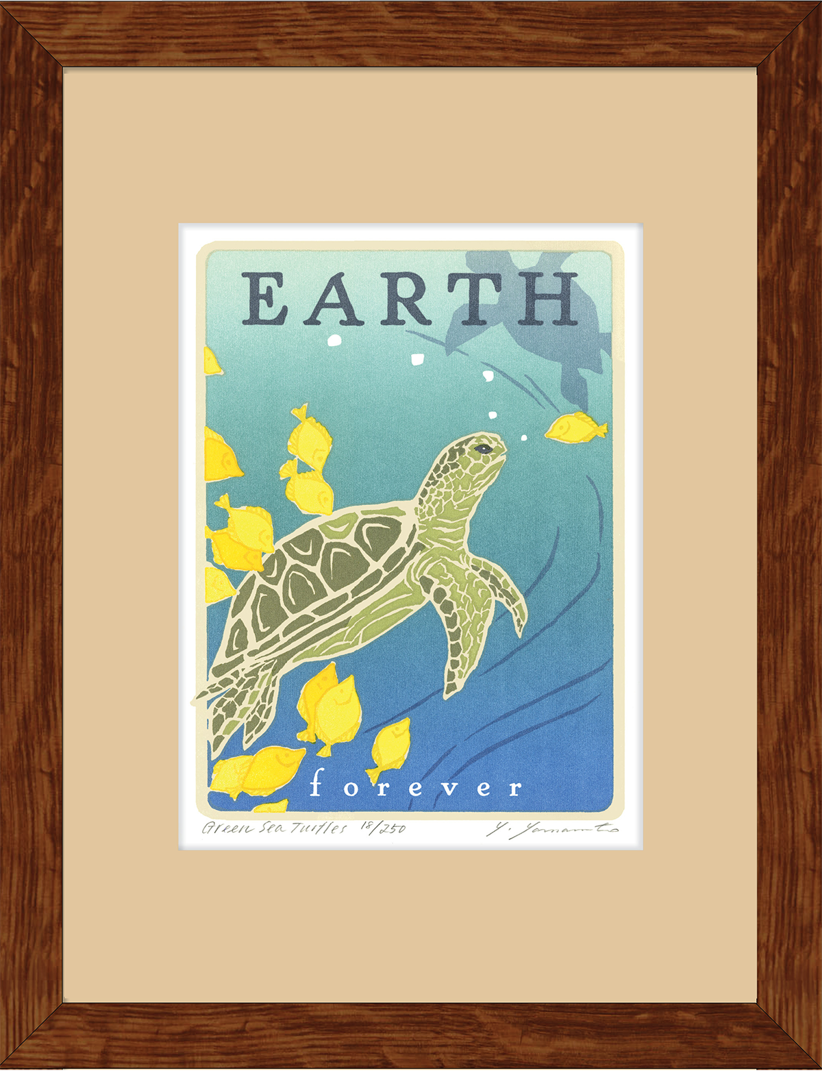 Green Sea Turtle - Earth Forever