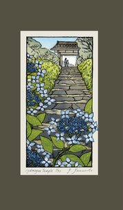 Hydrangea Temple