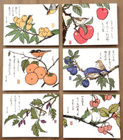 "Bird & Fruit 1" Assortment
