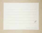 "Lettuce" Correspondence Card