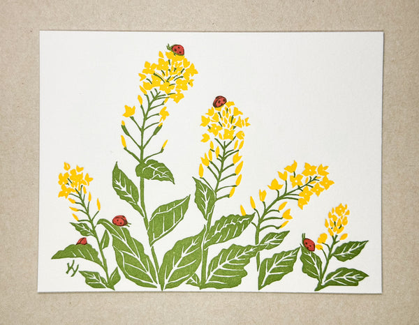 "Rapeseed Blossoms" Correspondence Card