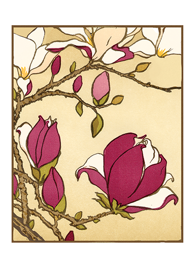 Magnolia