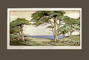 Monterey Cypress (Giclee)