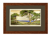 Monterey Cypress (Giclee)