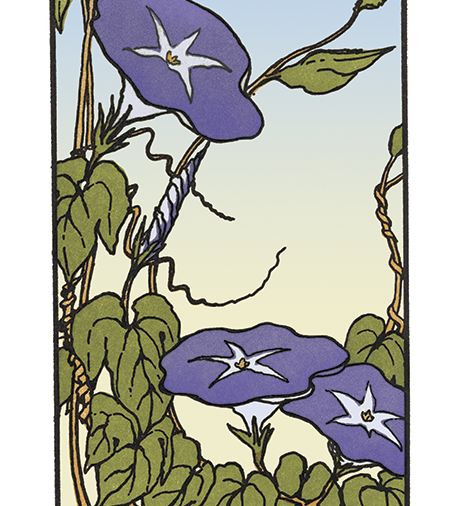 Morning Glory – The Arts & Crafts Press Morning Glory – The Arts & Crafts Press