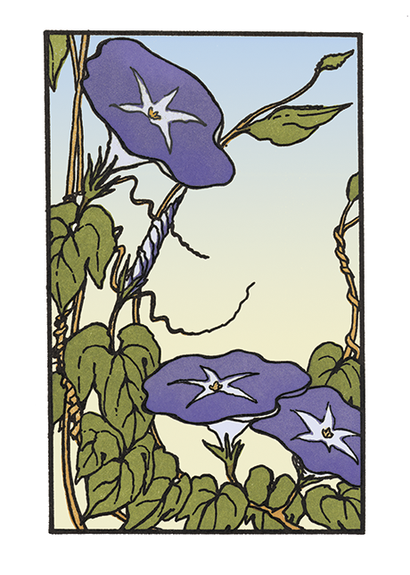 Morning Glory – The Arts & Crafts Press