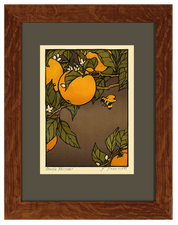 Orange Blossoms (Giclee)