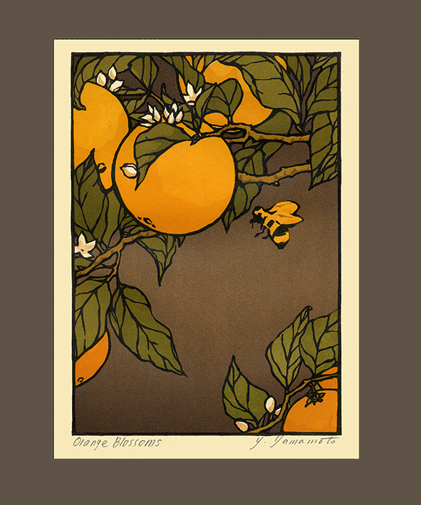 Orange_Blossoms_Matted.png