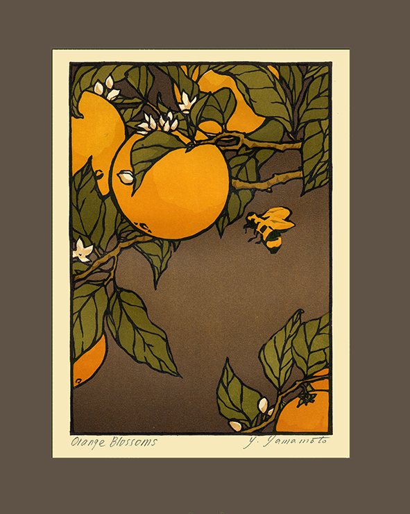 Orange Blossoms (Giclee)