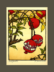 Pomegranate (Giclee)