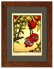 Pomegranate (Giclee)
