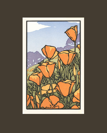 Poppies in Bloom