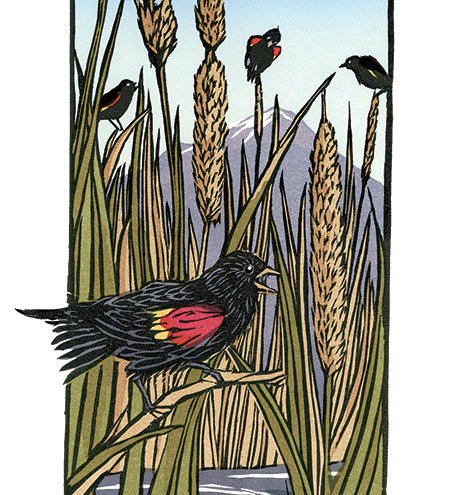 Red-Winged_Blackbirds_new.jpg