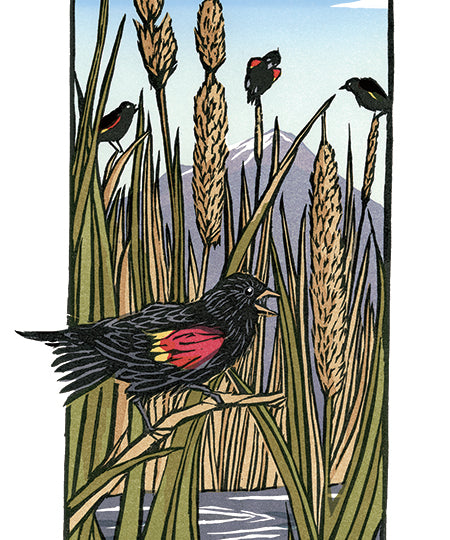 Red-Winged_Blackbirds_new.jpg