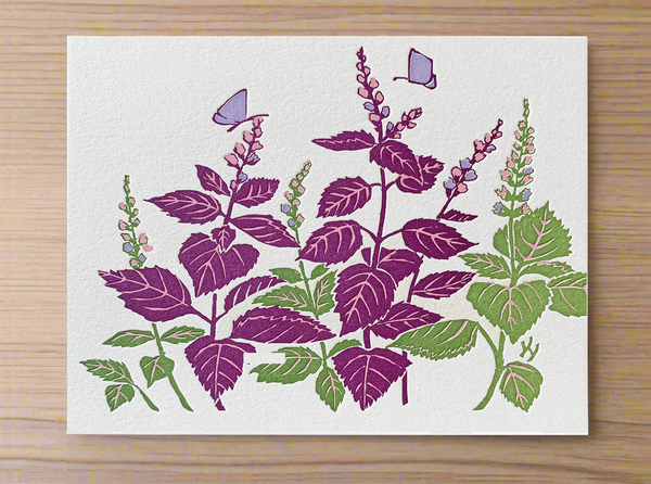 "Shiso (Perilla)" Correspondence Card