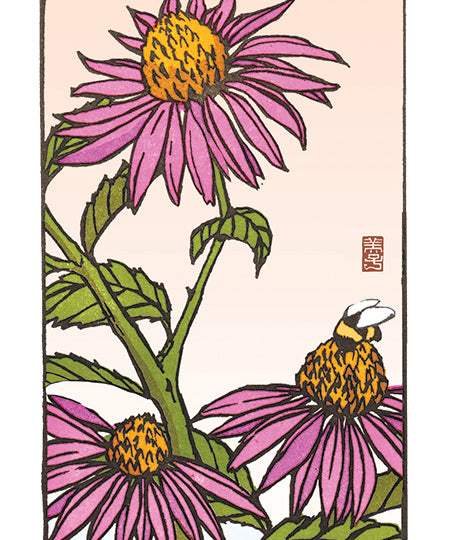 Sweet_Echinacea_new.jpg