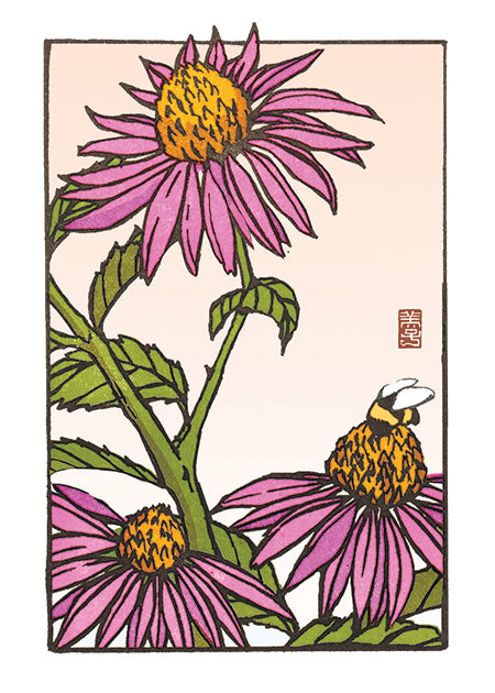 Sweet Echinacea