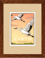 Whooping Crane - Earth Forever