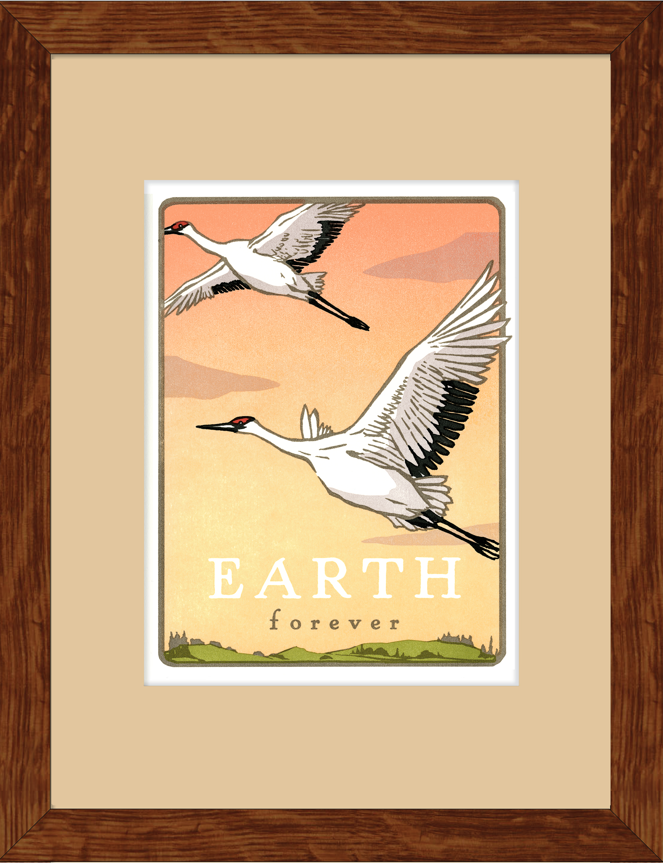 Whooping Crane - Earth Forever