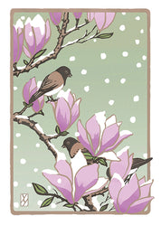 Winter Magnolia