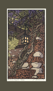 Wisteria Pergola (Giclee)