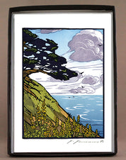 Cypress at Point Reyes