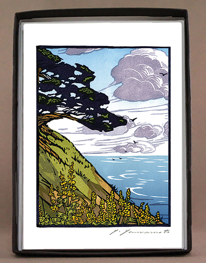 Cypress at Point Reyes
