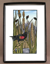Red Winged Blackbirds