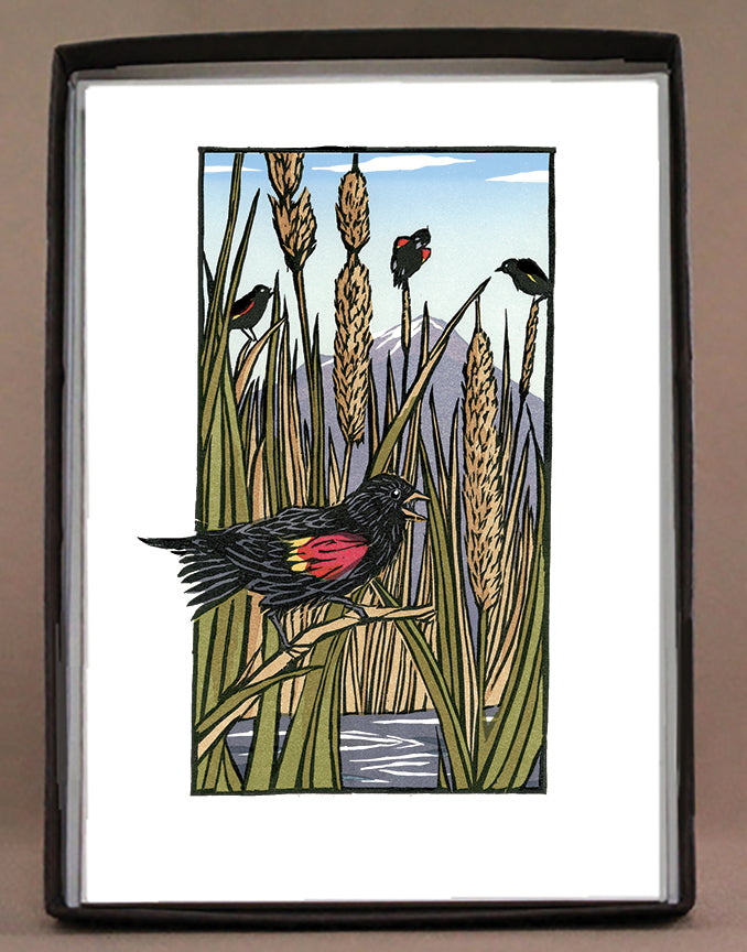 Red Winged Blackbirds