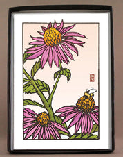 Sweet Echinacea