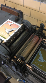 Whooping Crane - Earth Forever