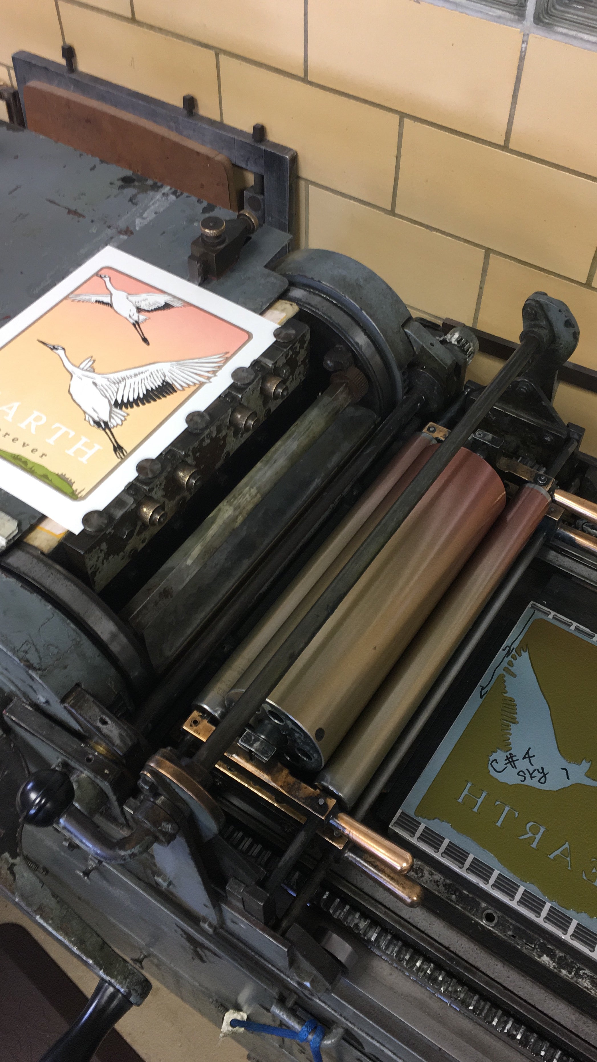 Whooping Crane - Earth Forever